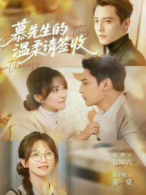 慕先生的温柔请签收（90集）热门古装短剧推荐