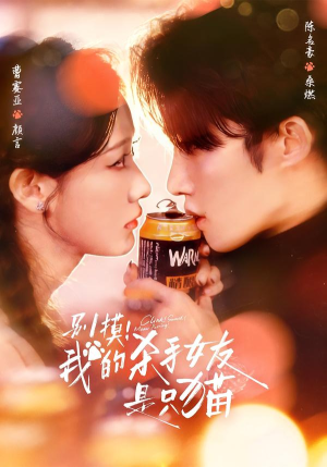 别摸！我的杀手女友是只猫（60集）古装重生短剧推荐