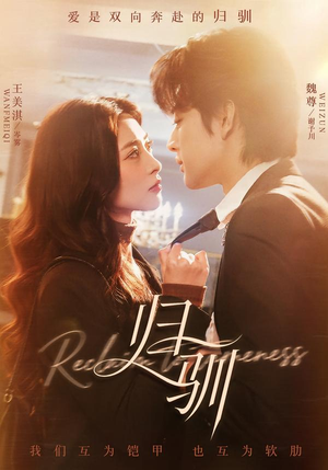 归驯（82集）热播短剧停不下来