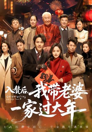 入赘后，我带老婆一家过大年（60集）火热短剧正在热播