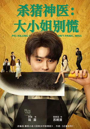 杀猪神医，大小姐别慌（80集）看一段就想看完的短剧