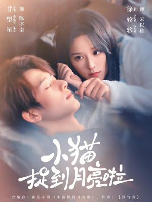 小猫捉到月亮啦（80集）短剧推荐正在热播