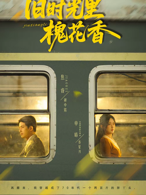 旧时光里槐花香（70集）短剧太好看了精彩推荐