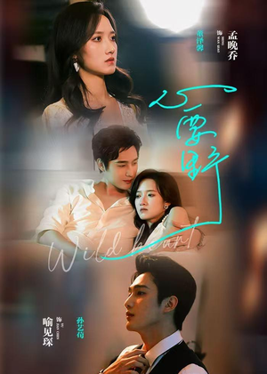 心要野（62集）精彩的短剧又来了