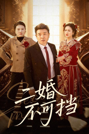 二婚不可挡（36集）短剧全集高清无码版