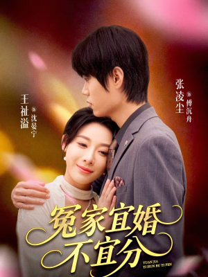 冤家宜婚不宜分（80集）热门短剧新剧推荐