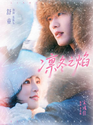 凛冬之焰（80集）热播短剧停不下来