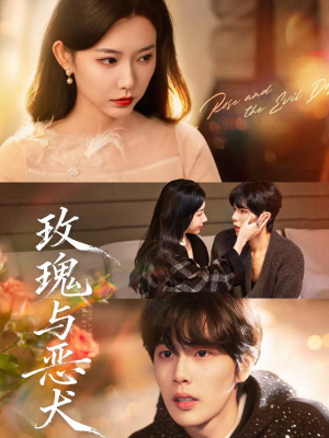 玫瑰与恶犬（80集）短剧分享精彩后续