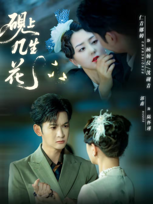 砚上几生花（62集）好看又精彩的短剧