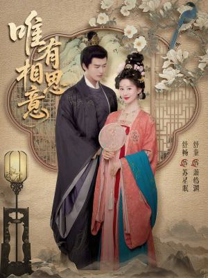 唯有相思意(100集) 唯有相思意(100集)热播短剧抢先看大结局