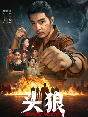 头狼(77集) 头狼(77集)短剧合集杜比音效版