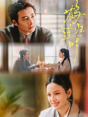 鹤归瑾时（81集）这短剧也太好看了