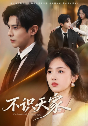 不识天家（69集）推荐短剧每天更新