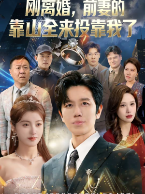 离婚，前妻的靠山全来投靠我了（80集）最新热播短剧推荐