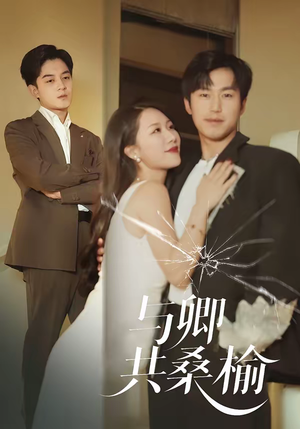 与卿共桑榆（63集）热门火爆短剧推荐