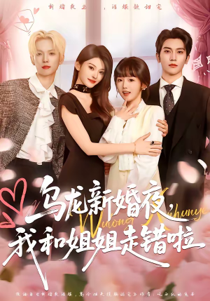 乌龙新婚夜，我和姐姐走错啦（59集）推荐短剧一口气要看完