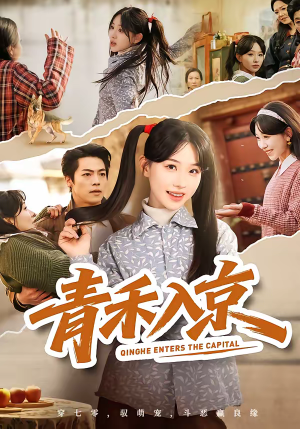 青禾入京（60集）短剧每日分享推荐