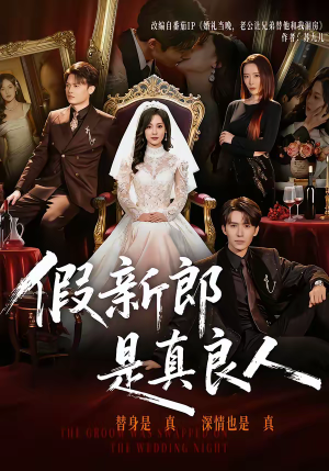 假新郎是真良人（67集）短剧宝藏全集限免看