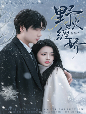 野火缠娇(66集) 野火缠娇(66集)短剧解说推荐好剧