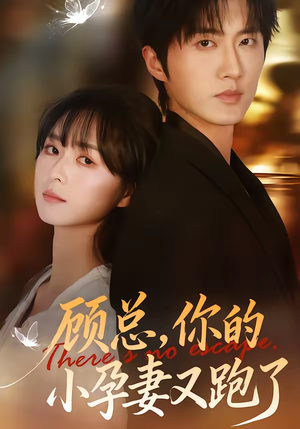 顾总,你的小孕妻又跑了(47集) 顾总,你的小孕妻又跑了(47集)全集短剧大结局抢先看