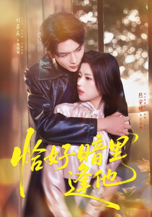 恰好暗里逢他（66集）全网最火催泪短剧