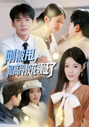 刚被甩，和高冷校花领证了（67集）短剧合集杜比音效版