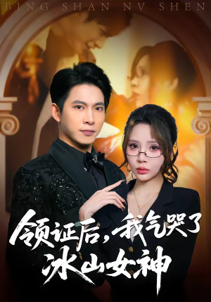 领证后，我气哭了冰山女神（60集）火爆短剧精彩分享