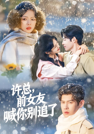 许总，前女友喊你别追了（80集）短剧限免全集任你点