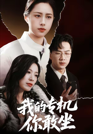 我的专机你敢坐（62集）超好看的短剧一起追剧