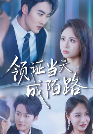领证当天成陌路（39集）爆款短剧热门推荐