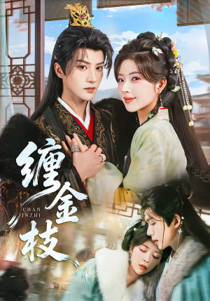 缠金枝（69集）短剧每日分享推荐