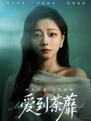 爱到荼蘼（63集）超好看短剧追不停