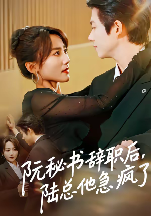阮秘书辞职后，陆总他急疯了（80集）古装穿越短剧推荐
