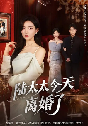 陆太太今天离婚了（59集）每天更新精彩短剧