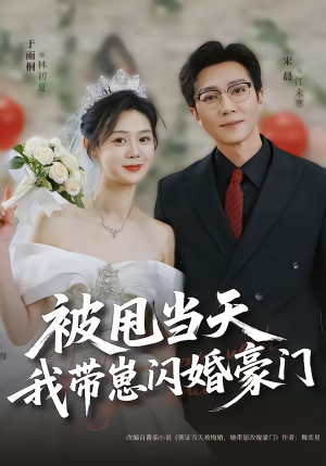 被甩当天我带崽闪婚豪门（70集）精彩短剧不容错过