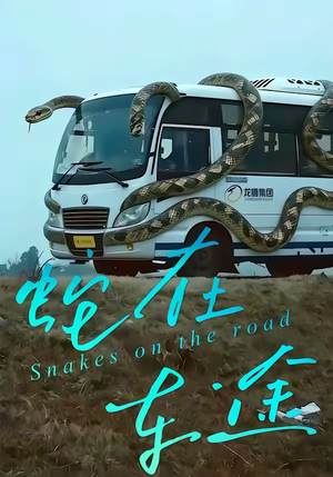 蛇在车途（34集）短剧全系列永久免费