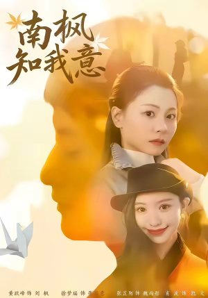 南枫知我意（41集）短剧热播中抢先看