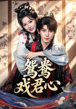 鸳鸯戏君心（60集）热门短剧推荐推荐