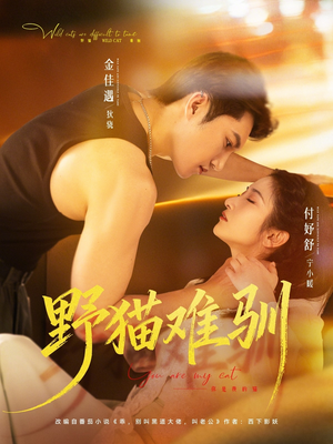 野猫难驯（73集）红果短剧免费看剧
