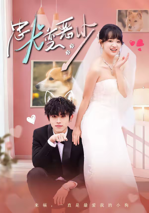 惊！我家来福变恶少了＆忠犬变恶少（80集）短剧每日分享推荐