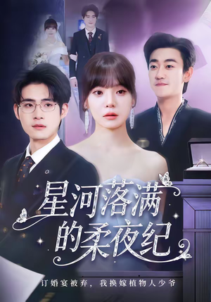 星河落满的柔夜纪（88集）火爆短剧正在热播