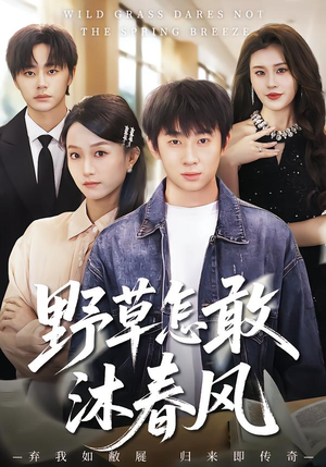 野草怎敢沐春风（61集）热门短剧推荐古装