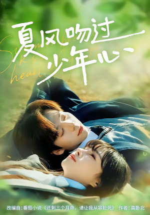 夏风吻过少年心（76集）短剧终章免费大放送