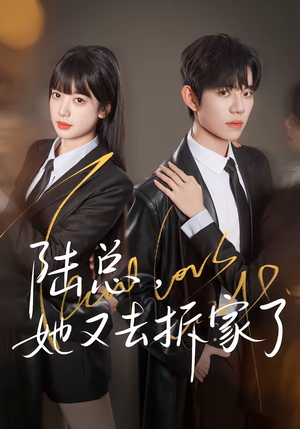 陆总，她又去拆家了（80集）重生之追夫火葬场短剧