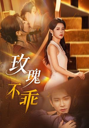 玫瑰不乖（69集）每天更新最火短剧