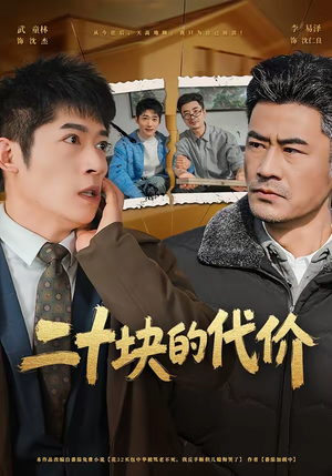 二十块的代价(64集) 二十块的代价(64集)短剧追到爽全集完整版