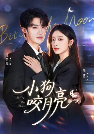 小狗咬月亮（66集）短剧解说推荐好剧