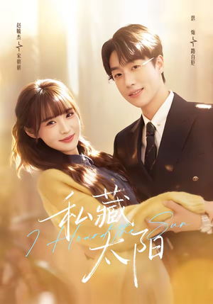私藏太阳（91集）免费看短剧大结局