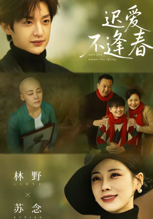 迟爱不逢春(62集) 迟爱不逢春(62集)短剧合集通宵追更版