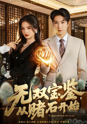 无双宝鉴，从赌石开始（70集）推荐热门短剧全集